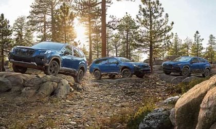 2024 Subaru Wilderness