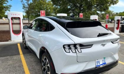 A white Ford Mustang Mach-E parked at a Tesla charging station, surrounded by trees and a clear blue sky.