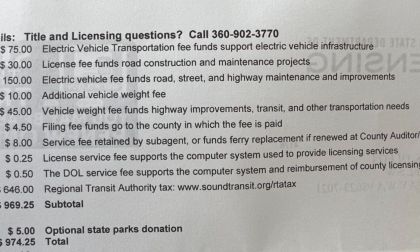 Vehicle registration fee breakdown showing electric vehicle, transportation, and licensing costs totaling $974.25