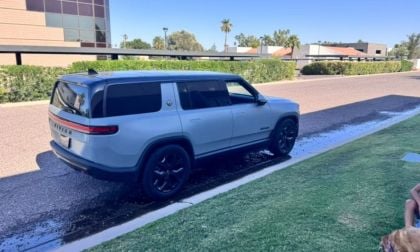 Pale blue Rivian electric SUV parked on urban street with landscaped grass and palm trees