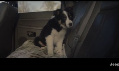 Why pets and their owners will love the 2024 Jeep Grand Cherokee L