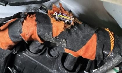 Ford F-150 Lightning rodent wire damage