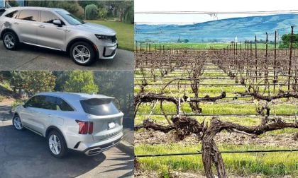 Silver Kia Sorento PHEV front and rear, and grape vines in Walla Walla, WA