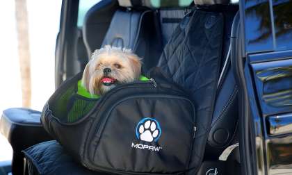 Mopaw Pet Carrier