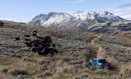 I Traded in My 2024 Tesla Model X for a Rivian R1T Over the Weekend, The Build Quality Is Miles Ahead, Rattles, Squeaks, and I Couldn’t Be Happier with My Decision