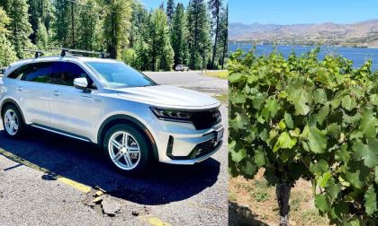 Silver Kia Sorento PHEV and grape vines near Lake Chelan