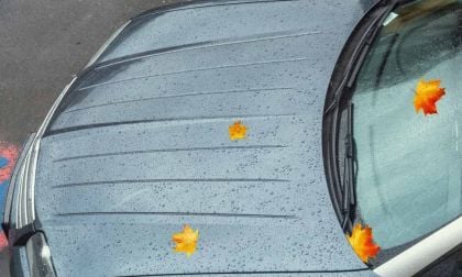 Not All Spray-On Wax Products Are Equally Good