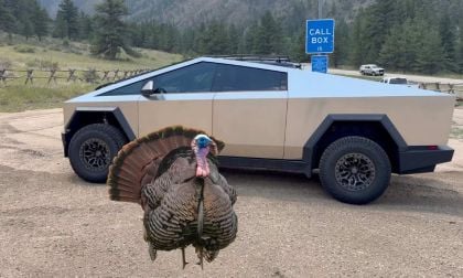 Tesla Cybertruck