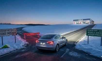 Tesla Kills Cheap Tesla 