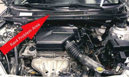 Toyota Rav4 Rodent Removal Advice