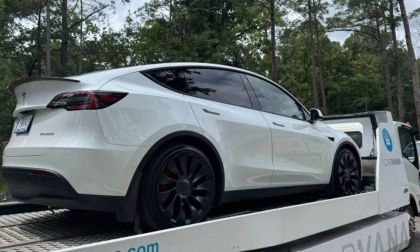 White Tesla Model Y with black wheels, loaded on a Carvana transport trailer amid pine trees, rear three-quarter view.