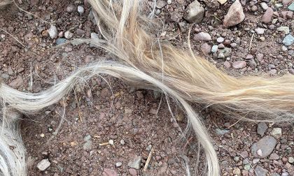 What looks like horse hair came out of the back of one Ford F-150 owner's tailpipe
