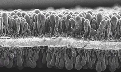 Amprius Battery Is Most Energy Dense Battery: Could Accelerate eVTOL Production