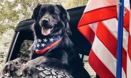 Bears Wins Title of Jeep Top Canine