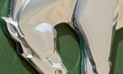 2022 Bronco Logo On Eruption Green Bronco