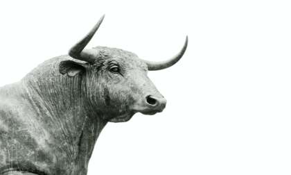 Image of a statue of the head, shoulders, and horns of a bull.