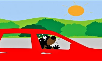 Dead Car AC Scenarios and Causes