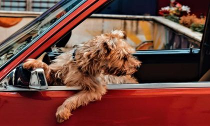 Car Repair Customers Don't Always Tell the Truth