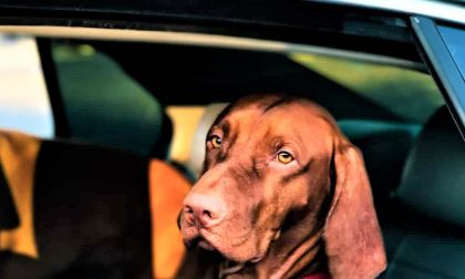 It Feels Like a Friday