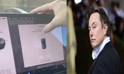 Elon Musk Says, "Really Cool Stuff Coming Next Month" In Regard To Question, "Any Updates On Progress For Vision Only Tesla's?"