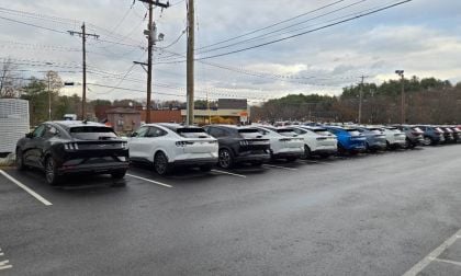 A long row of Ford Mustang Mach-E cars await buyers in November 2025 on a dealer's lot
