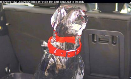 Ford video raises hot car death awareness