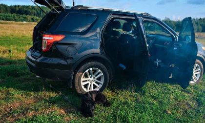 DIY Fixing Your Ford Engine Problem