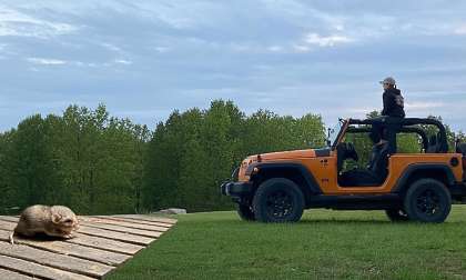Jeep Wrangler Owner Found Two Mice In His Jeep And Can't Find The Nest