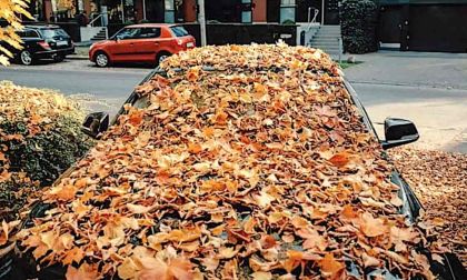 Fall Car Maintenance Recommendation to Avoid Water Damage