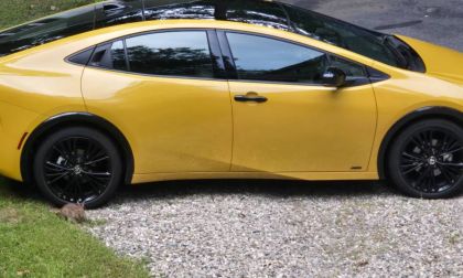 2025 Toyota Prius side view next to a bunny eating grass
