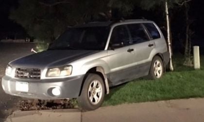 Subaru Forester, bear takes Subaru for a ride, bear crashes Subaru