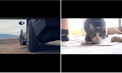 Tesla Cybertruck 4-Wheel Steering-By-Wire Compared To Wiggling Cat In Purrfect Comparison