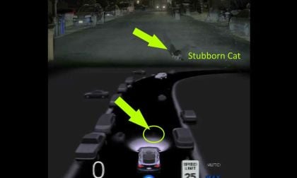 Released Last Night: FSD 12.5 Which Feels Like What Elon Promised 12.4 Would Be - A Step Change Improvement Over 12.4 And Is Shown Handling Stubborn Cat