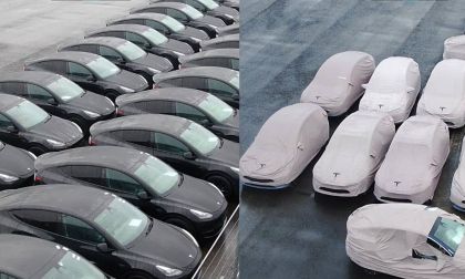 Tesla Giga Berlin Model Model Ys To Pickup Elon Musk at The Airport