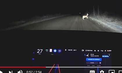 Tesla FSD Model 3 Evades a Deer