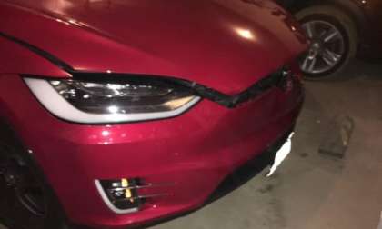 Tesla Model X Hit By a Deer