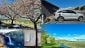 Cherry blossoms at Hightower Vineyards, silver Kia Sorento PHEV charging, Snoqualmie Falls, a solar PV output display, and Red Mountain with vineyards below