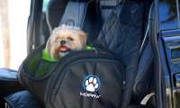 Mopaw Pet Carrier