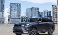 Gray Lexus TX SUV parked with city skyline behind