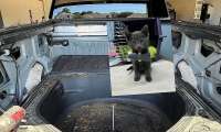 Rivian R1T truck bed with interior panels removed during repair, shown with an inset photo of a small gray kitten.