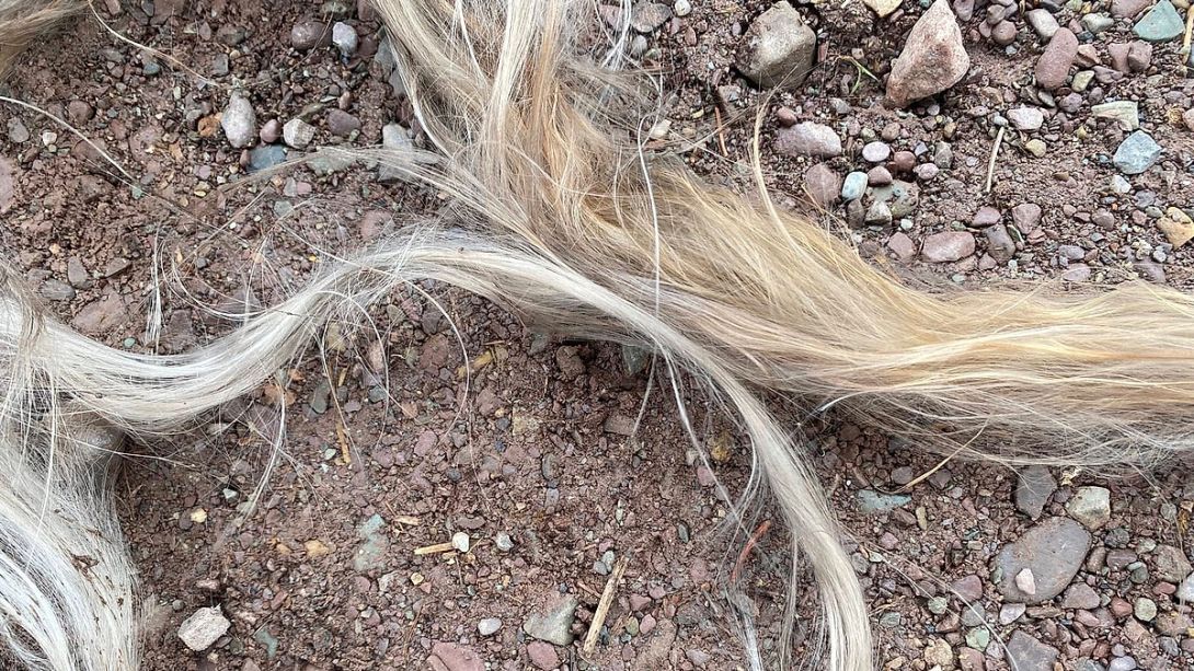 What looks like horse hair came out of the back of one Ford F-150 owner's tailpipe