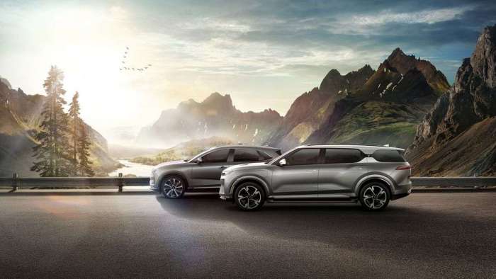 Image showing examples of the VinFast VF8 and VF9 parked in front of some mountains